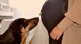 Ambre OGNAR - AMBRE & LUMIERE