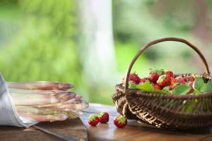 Delphine TRÉBOSC - CIEL BLEU